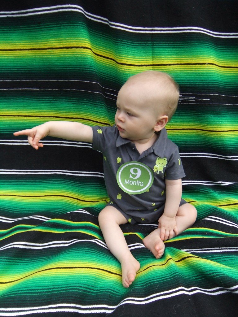 He points out everything these days. He's pointing at Waldo dog in this picture. Kid loves his doggies.